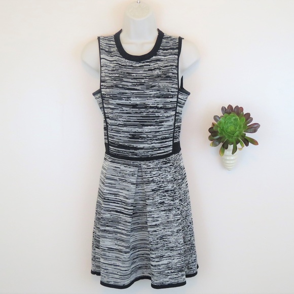 Walter Baker Dresses & Skirts - Walter Baker Gray & Black Woven Dress S